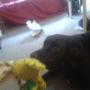 IMG-20140829-WA0004