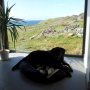 dalmore window 130412
