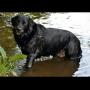 IMG-20140518-WA0000