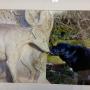 IMG-20150418-WA0000