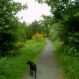 flash slide show 041