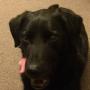 IMG-20151101-WA0000