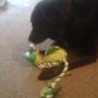IMG-20140829-WA0000