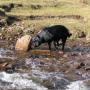 flash slide show 051