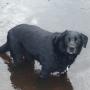 IMG-20141023-WA0000