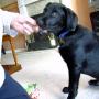 flash slide show 035