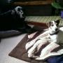 IMG-20151031-WA0000