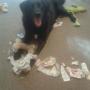 IMG-20140829-WA0005