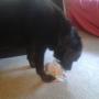 IMG-20140829-WA0002