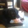 IMG-20140829-WA0003