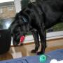 flash slide show 075