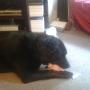 IMG-20140829-WA0001