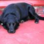 flash slide show 073