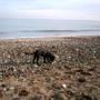 beach seaham 1