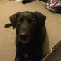 IMG-20151101-WA0001