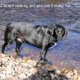 flash slide show 053