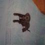 IMG-20140417-WA0001