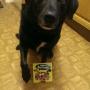 IMG-20141128-WA0000