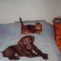 IMG-20140417-WA0006