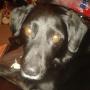 IMG-20140101-WA0000