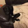 IMG-20151009-WA0000