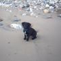 beach seaham 3