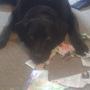 IMG-20140829-WA0006